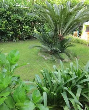 Casa Stefania Meta